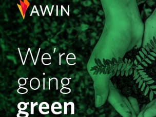 Due mani che reggono una piantina