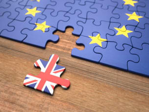 EU Puzzle