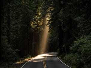 Sentiero illuminato dai raggi del sole