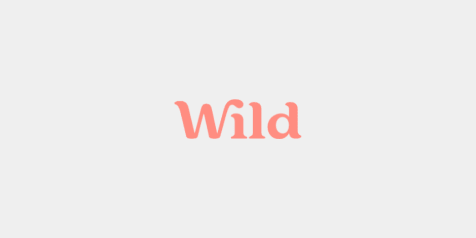 Wild logo – sustainable personal care brand with pink serif wordmark on a light gray background