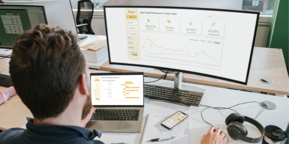 Person analyzing performance data